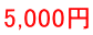 5,000冁E></td>
                </tr>
                <tr>
                  <td style=